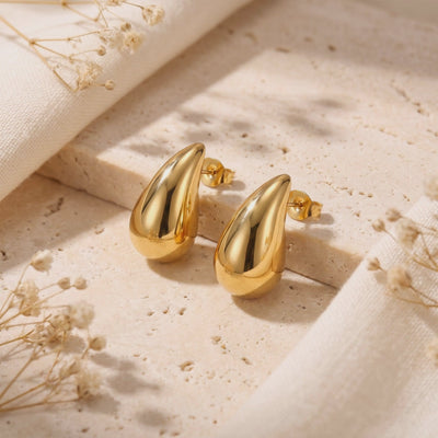 YLQ49232-earrings rotation video