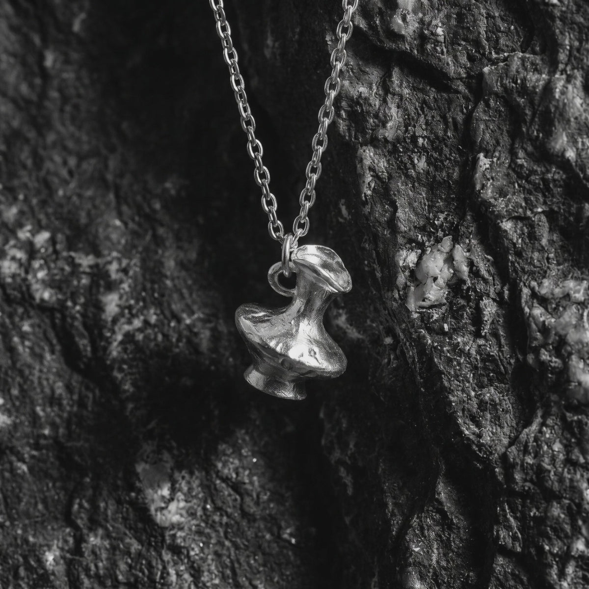 YLQ50112-Necklace rotation video