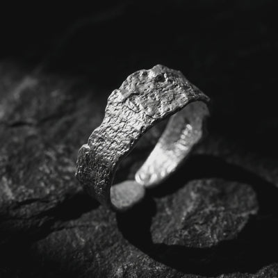 YLQ50168-rings rotation video